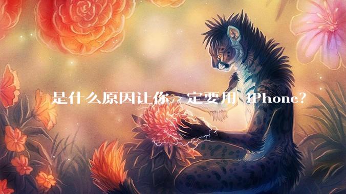 是什么原因让你一定要用 iPhone？